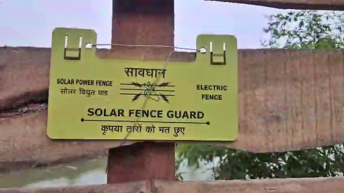 Fish Farming Yields Positive Results For Former Nalanda Professor