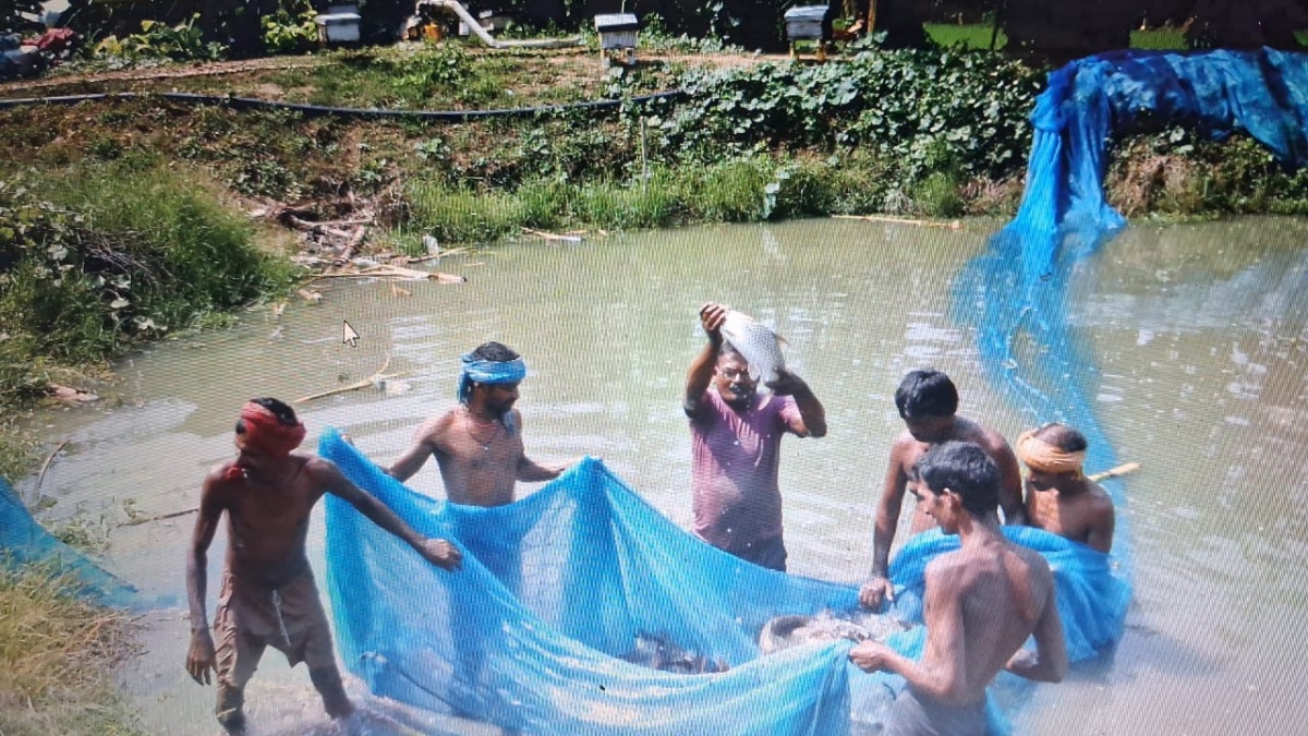 Rich from fish farming