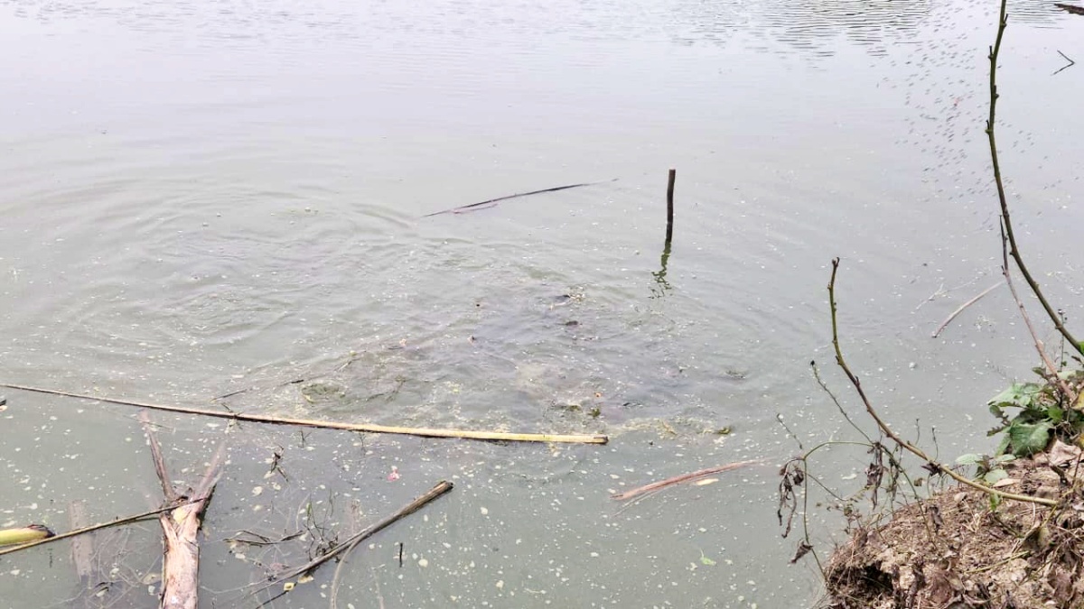 Rich from fish farming