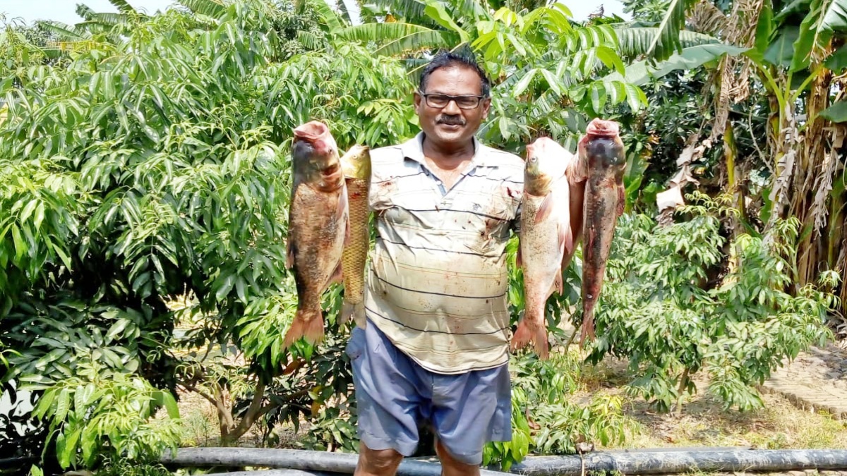 RICH FROM FISH FARMING