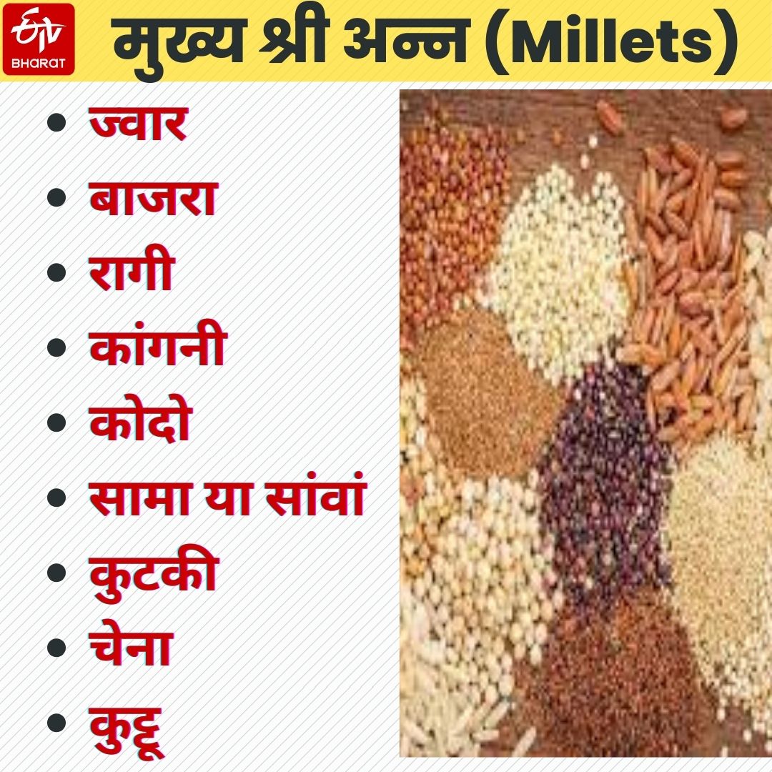 श्री अन्न में शामिल अनाज.