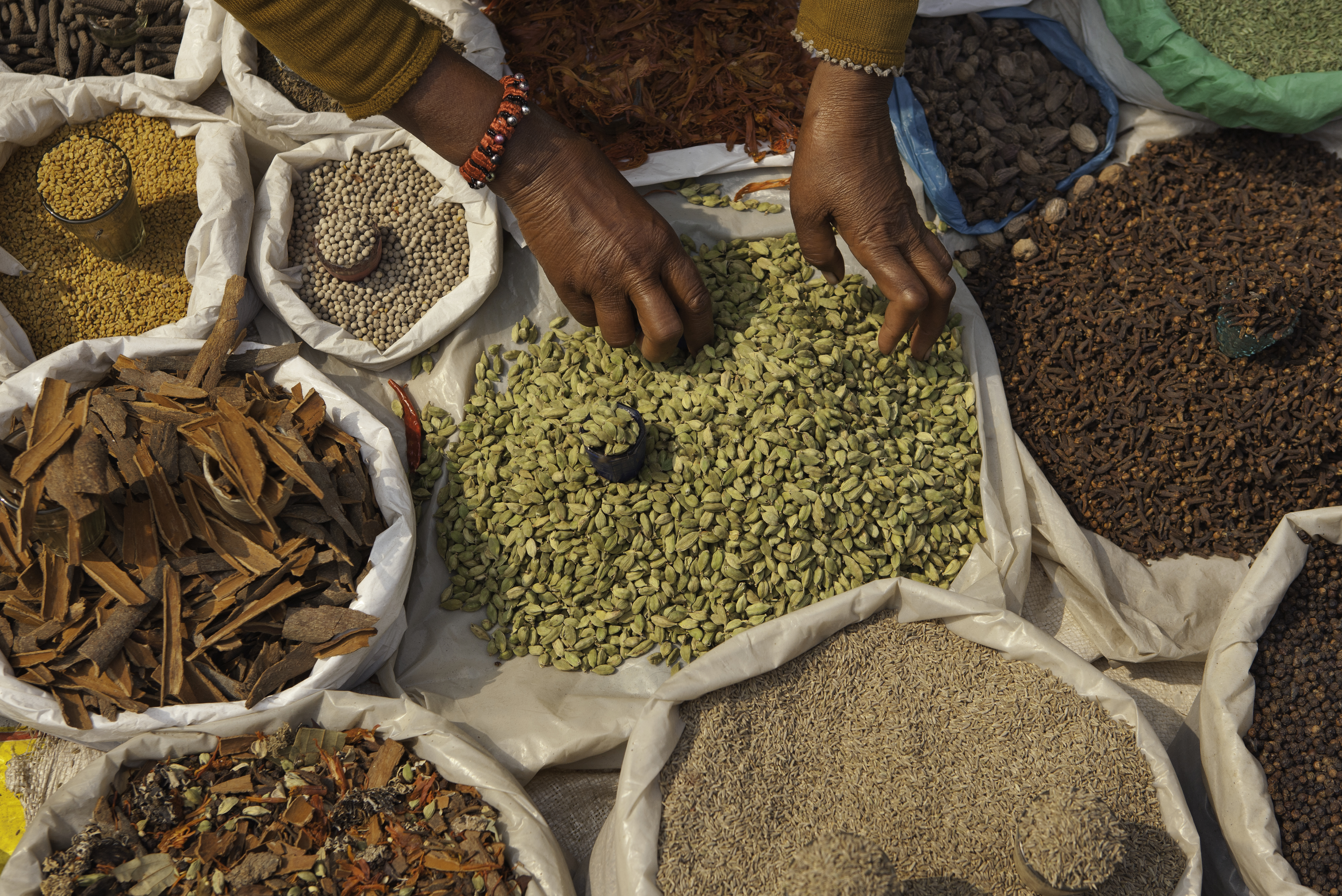 Hyderabadi Style Paneer Curry