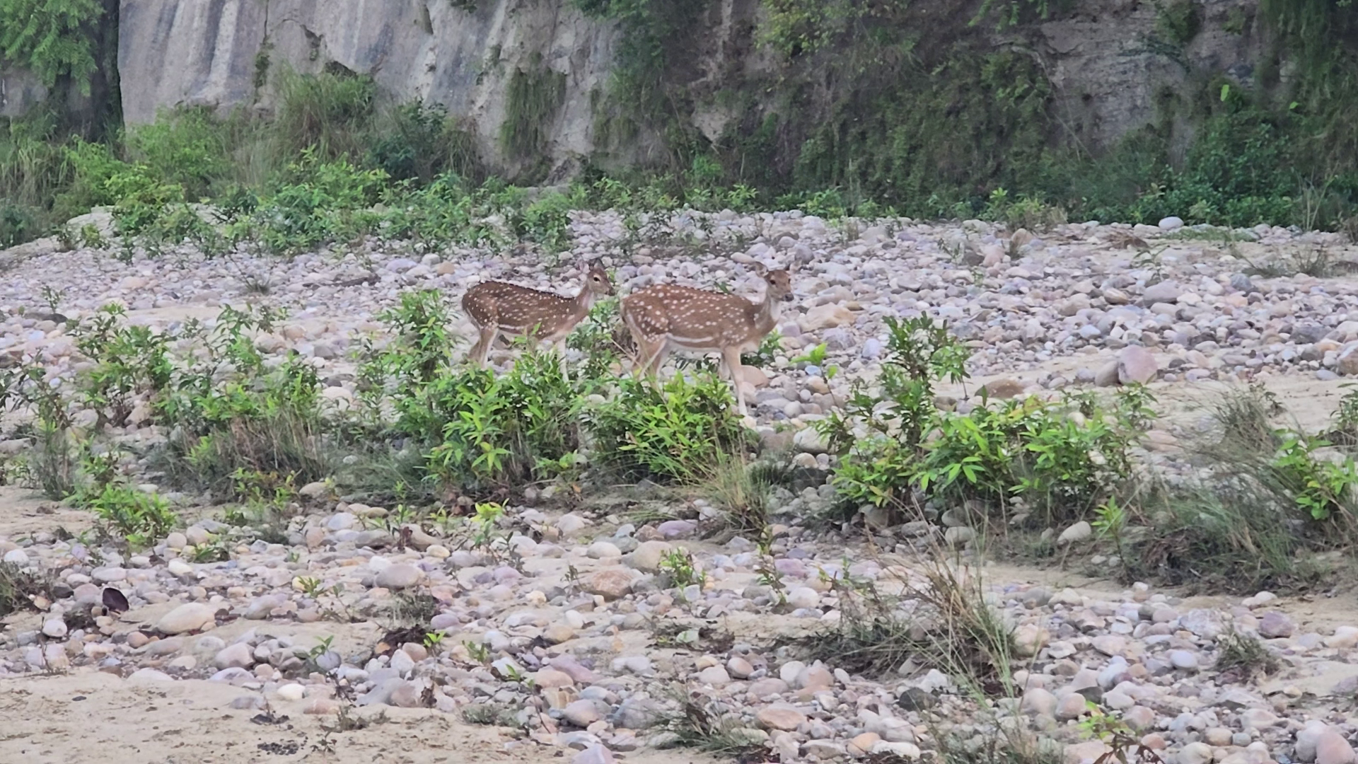 Eco Tourism Destination