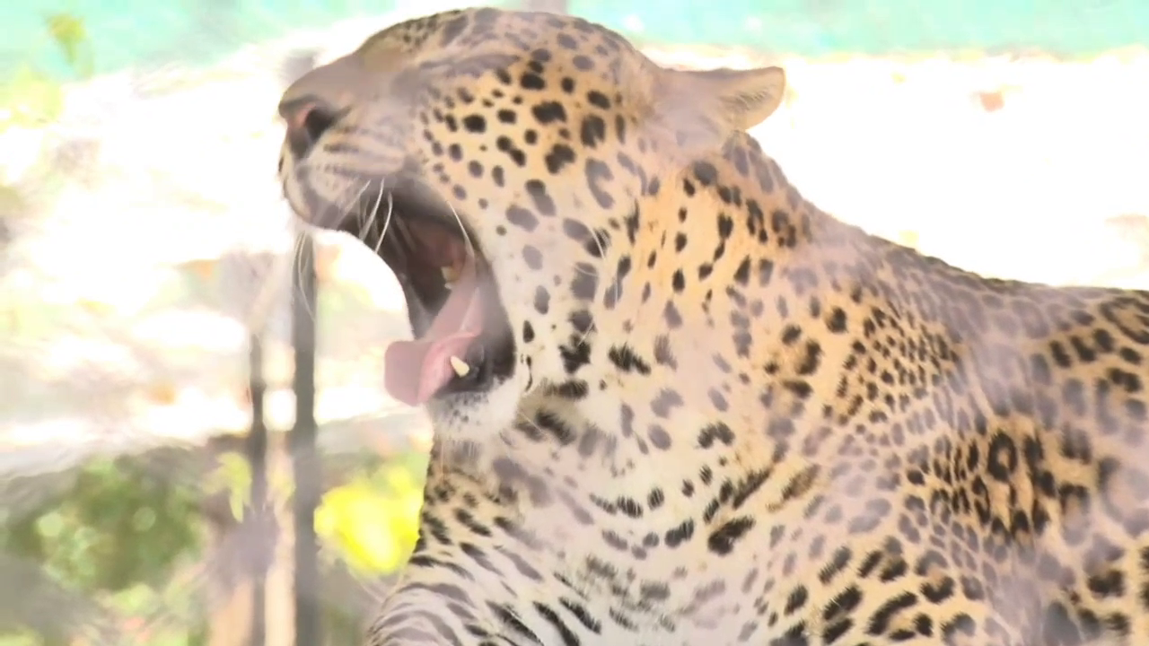 Eco Tourism Destination