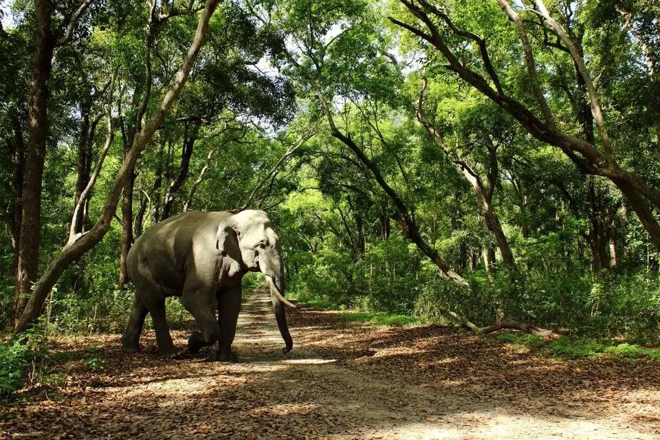 Eco Tourism Destination