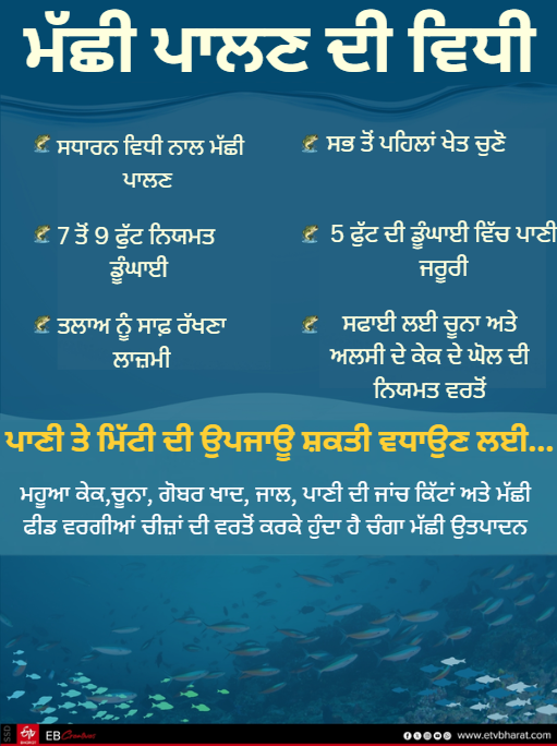 RICH FROM FISH FARMING