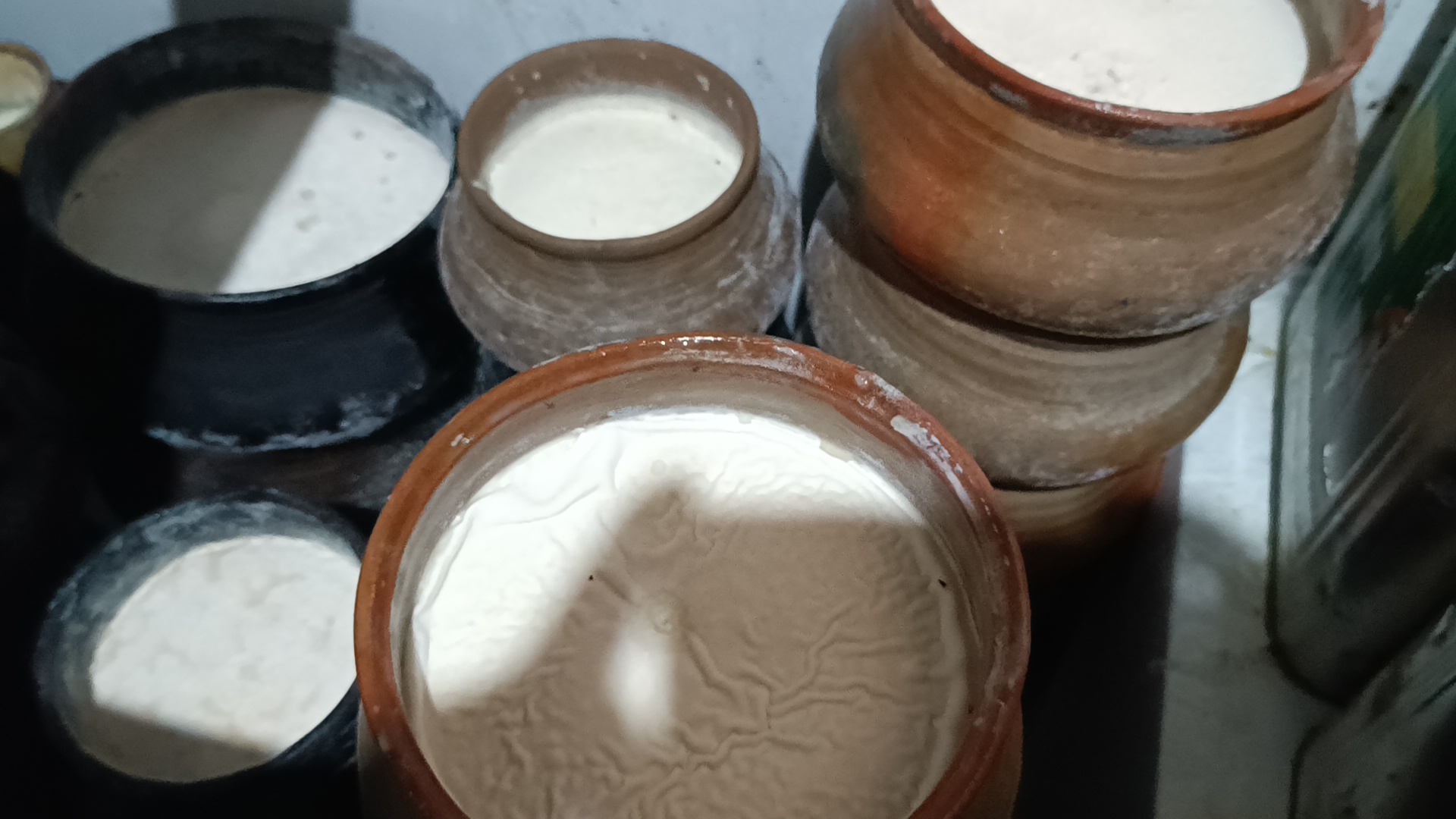 family of Pranjit Das from Sorbhog who has been in the curd business for 122 years