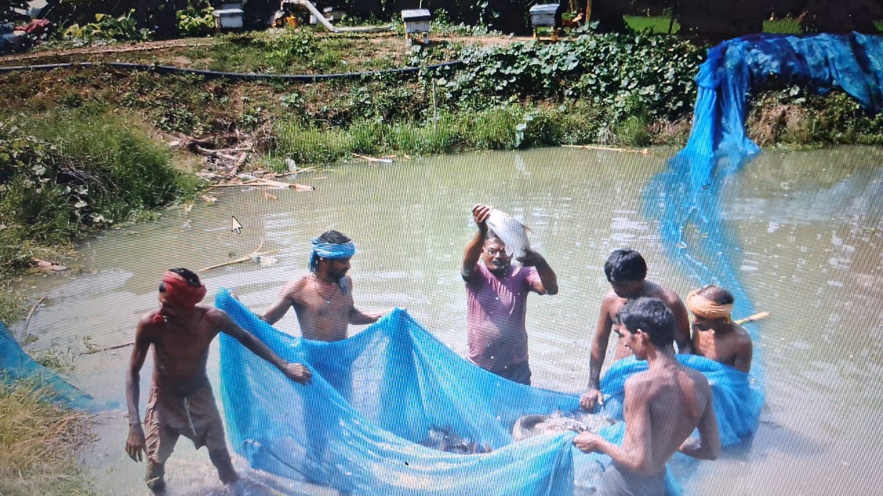 RICH FROM FISH FARMING