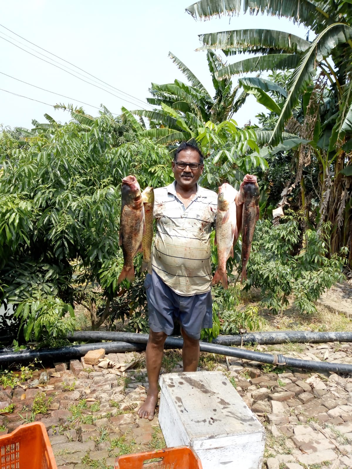 Kavindra Kumar Maurya