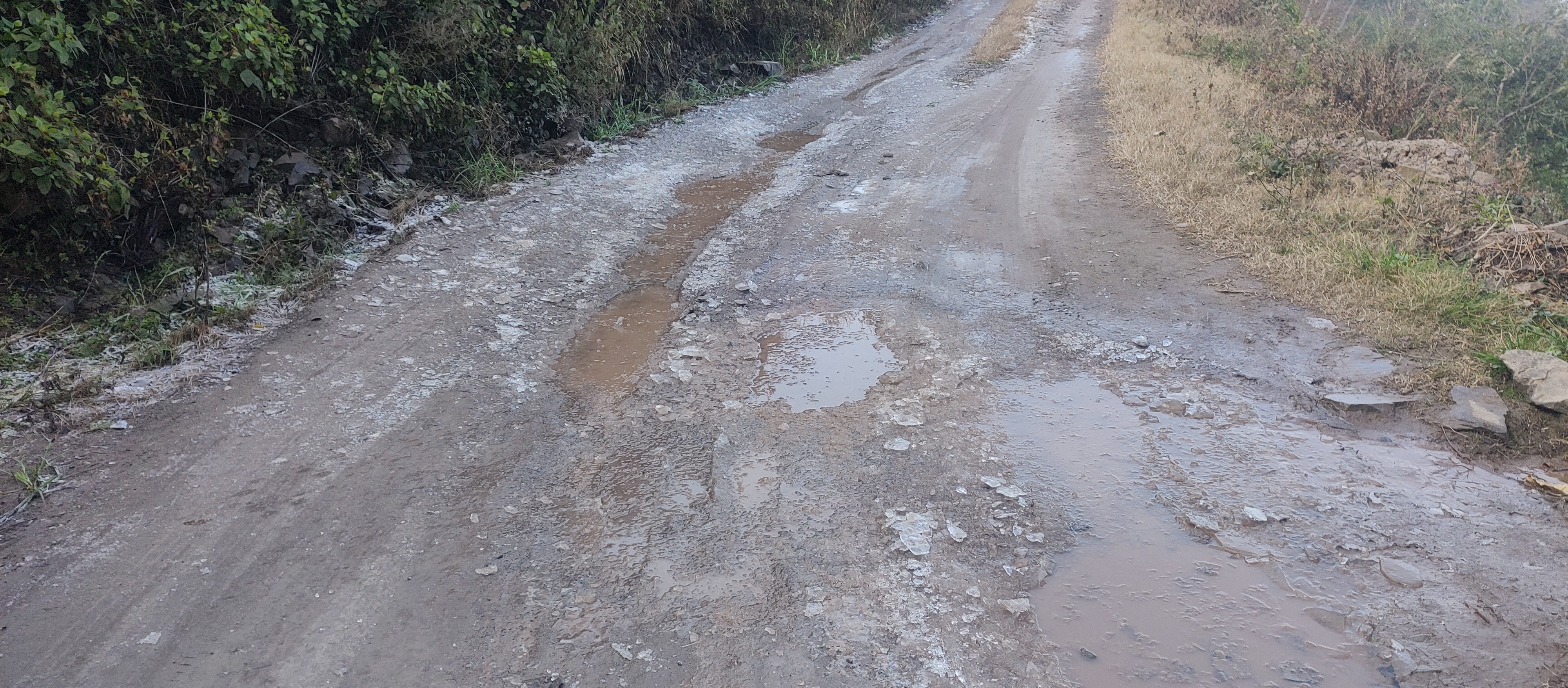 Himachal Weather Update