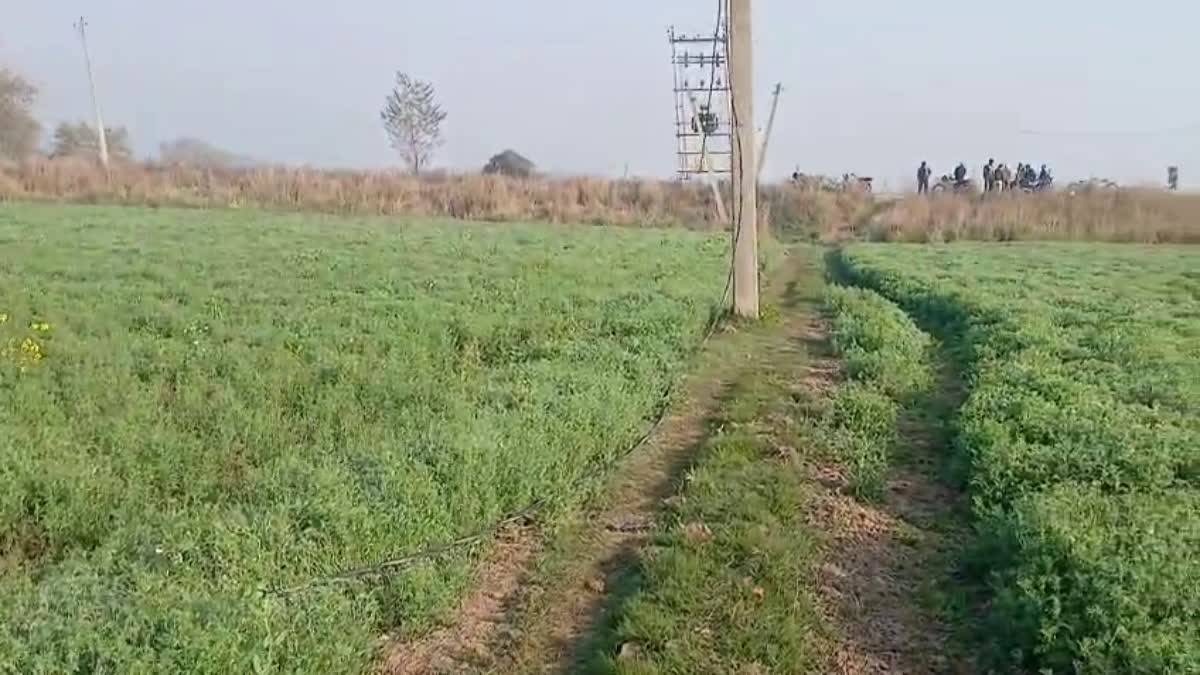 Electricity wire theft in Patna