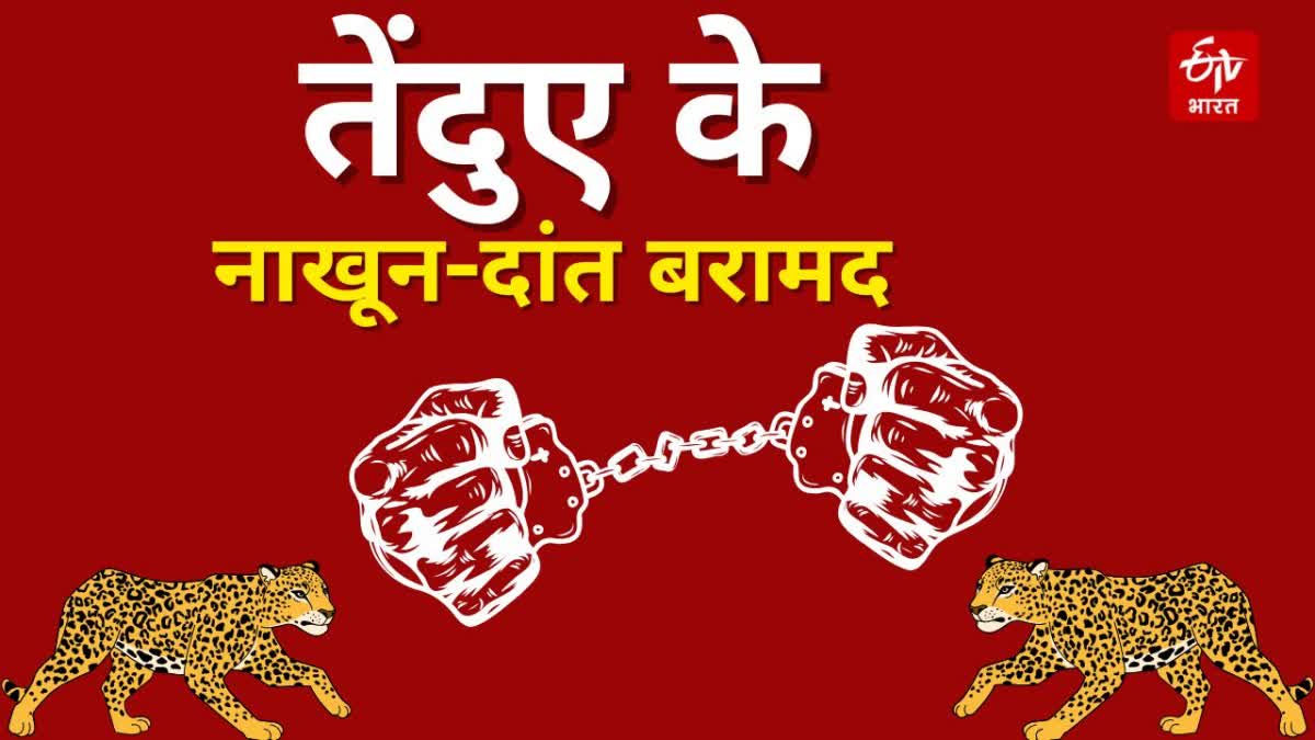 LEOPARD CLAWS TEETH SEIZED IN ROHRU