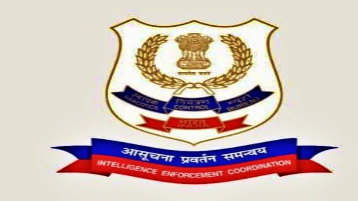 ABSCONDING DRUG SMUGGLERS