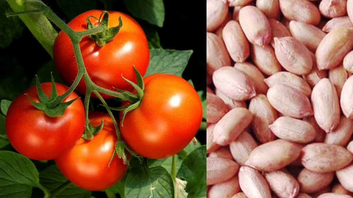 peanut_tomato_chutney