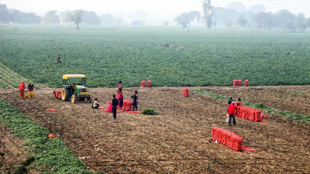 RATLAM FARMERS EXPECTATIONS BUDGET