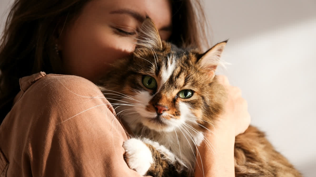 Cat and pawrent