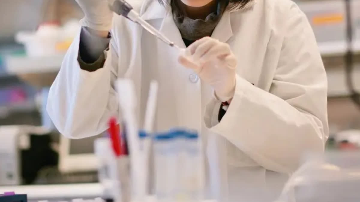 International Day Of Women And Girls In Science 2026