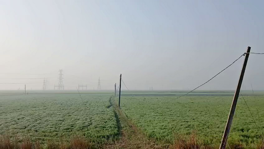 Electricity wire theft in Patna