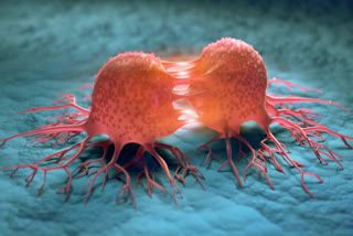 CANCER FIRST TARGETS BODY PARTS