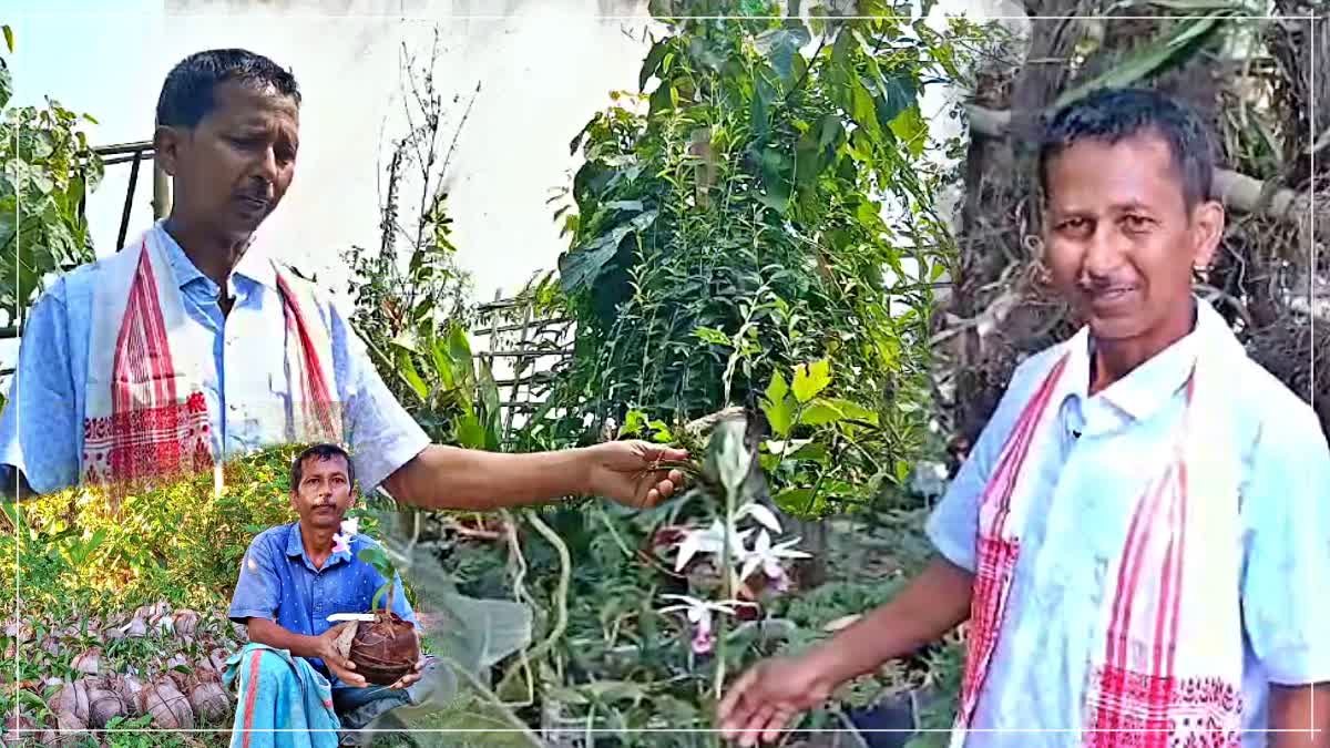 Ideal farmer Biswajit Bora