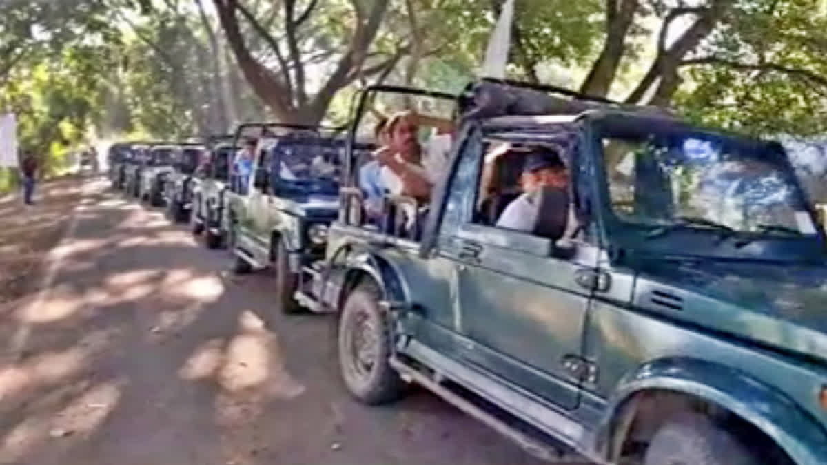 Gypsy Safari In Kaziranga