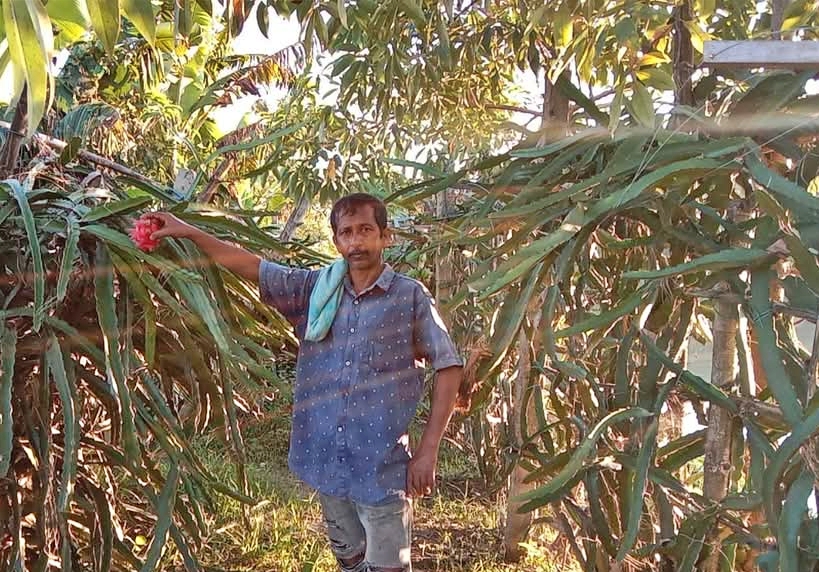 Ideal farmer Biswajit Bora