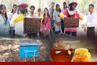 Benefit from Beekeeping