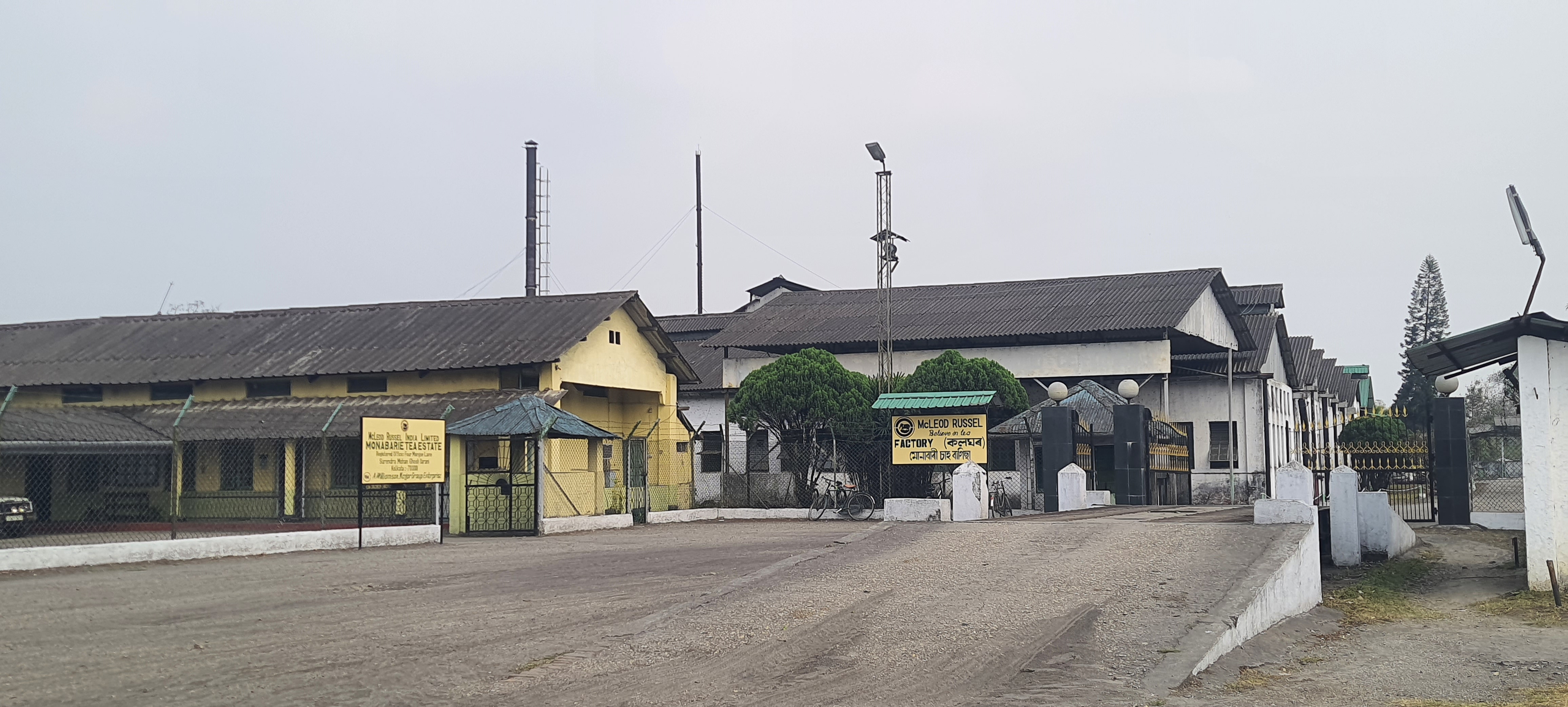 Monabarie Tea Estate