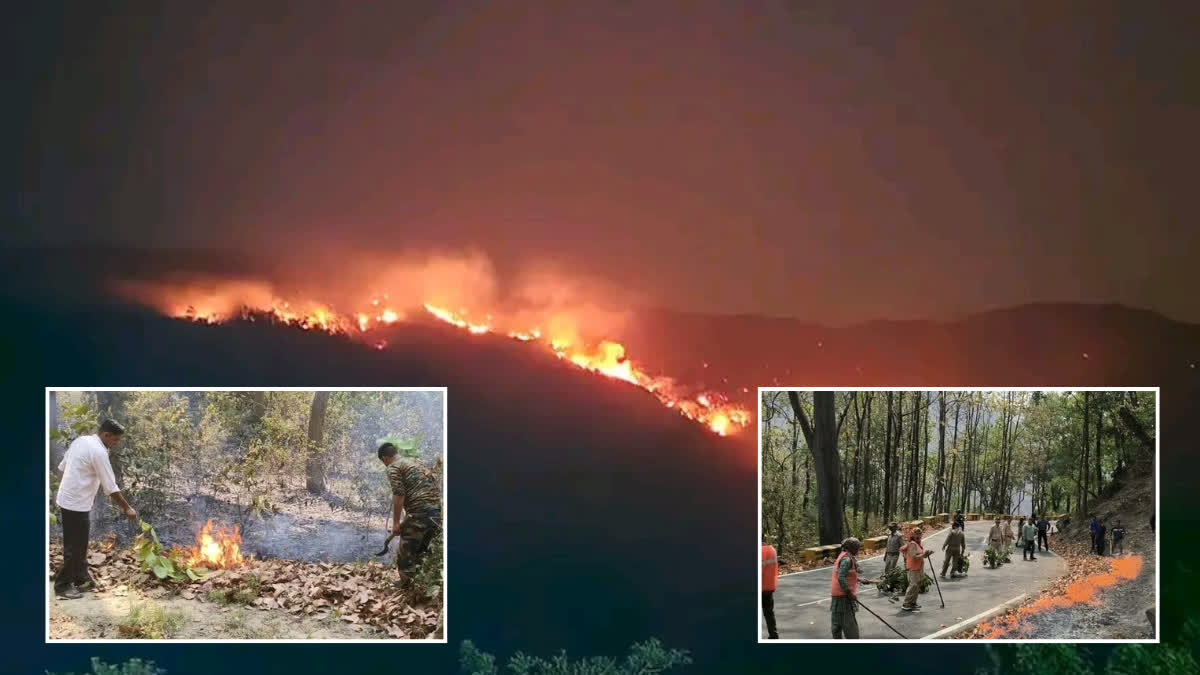 Forest fires in Uttarakhand