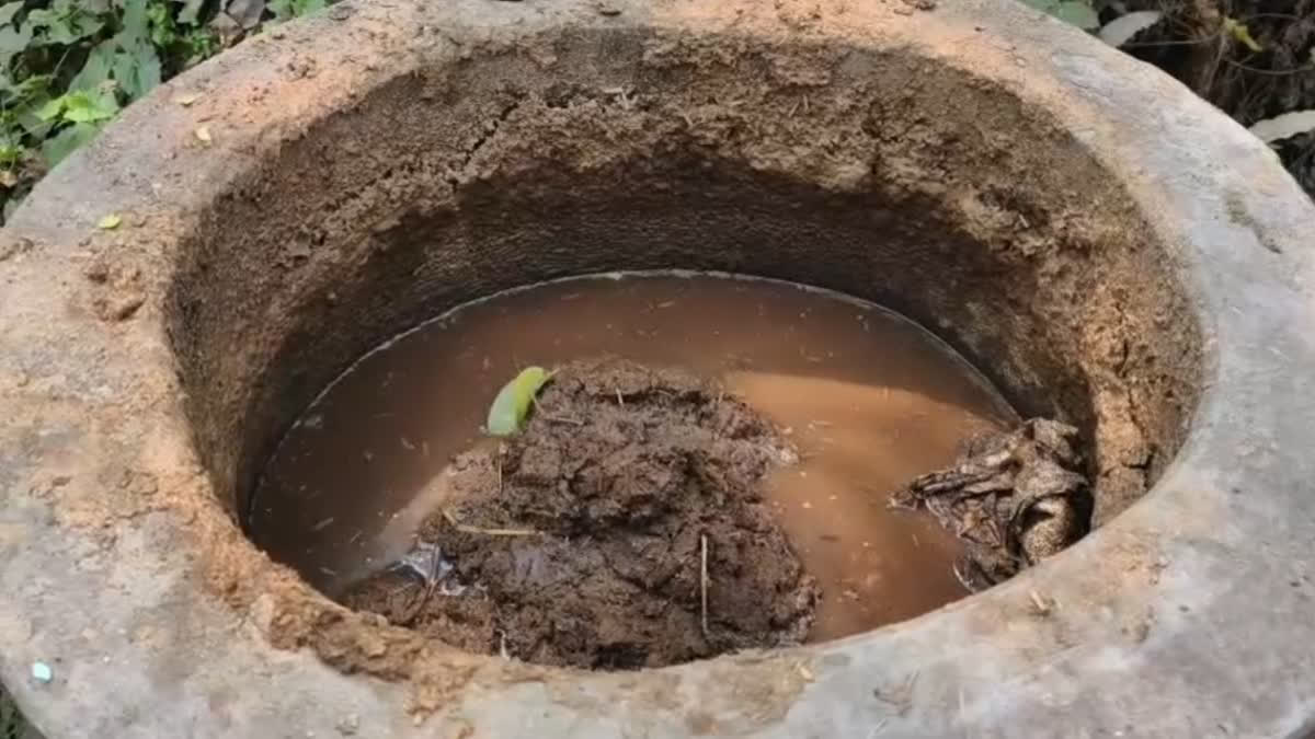 Amid Global Fuel Crisis, Two West Bengal Families Turn Cow Dung Into Cooking Gas Amid Global Fuel Crisis, West Bengal Families Turn Cow Dung Into Cooking Gas