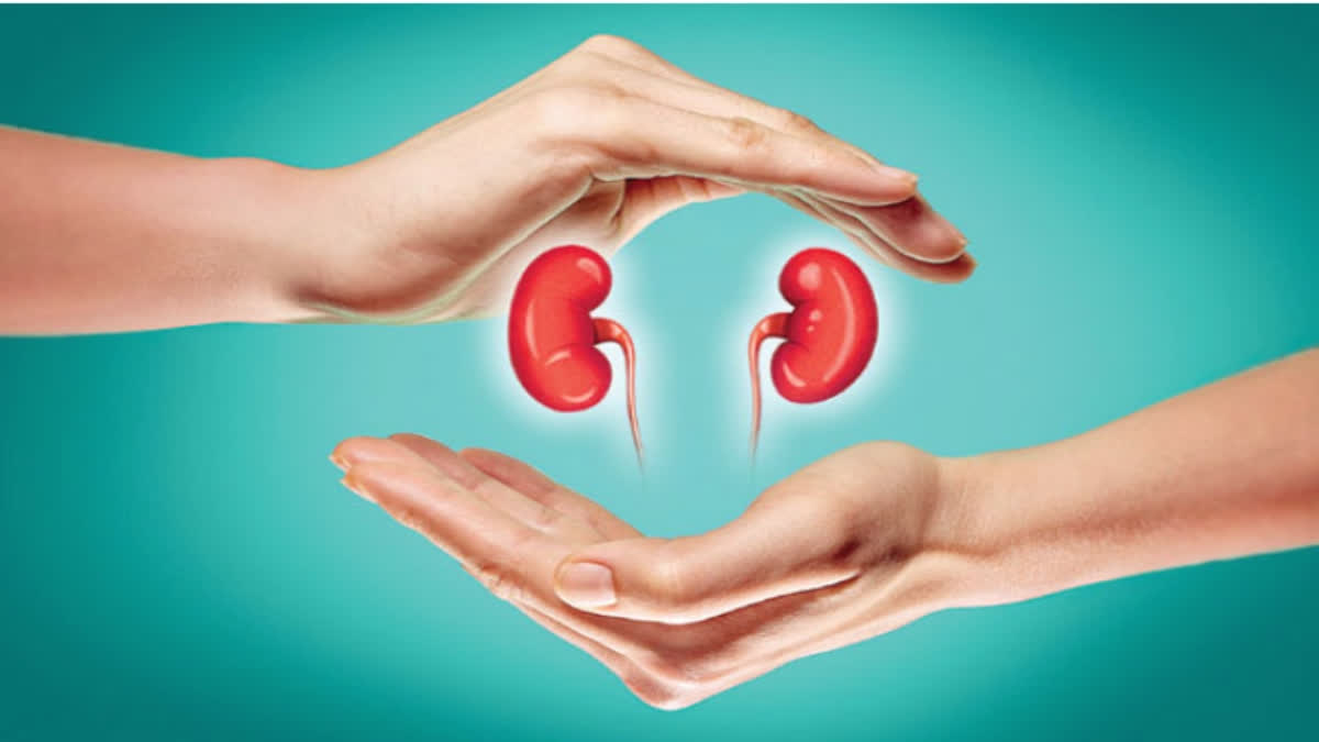 World Kidney Day 2026: Kidney Diseases Rising Among Youth, Doctors Raise Alarm Kidney Diseases Rising Among Youth, Experts Urge Early Screening