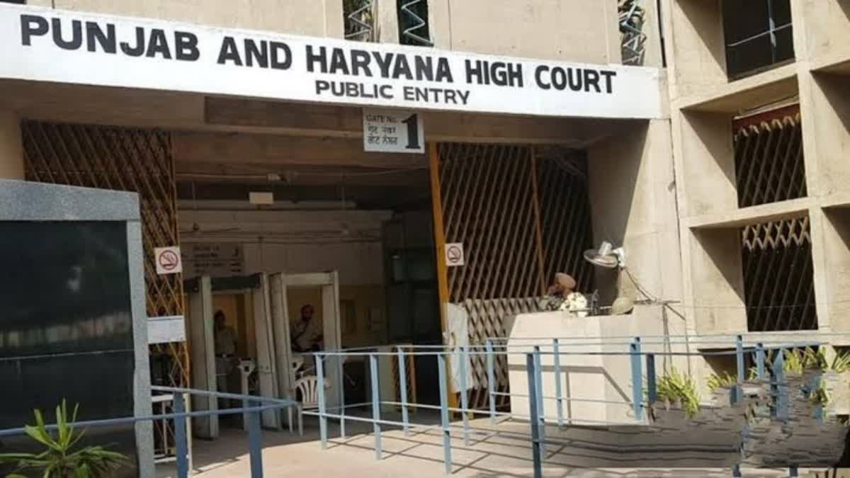 Pakistan Espionage Case: Punjab And Haryana HC Rejects YouTuber Jyoti Malhotra’s Bail Plea
