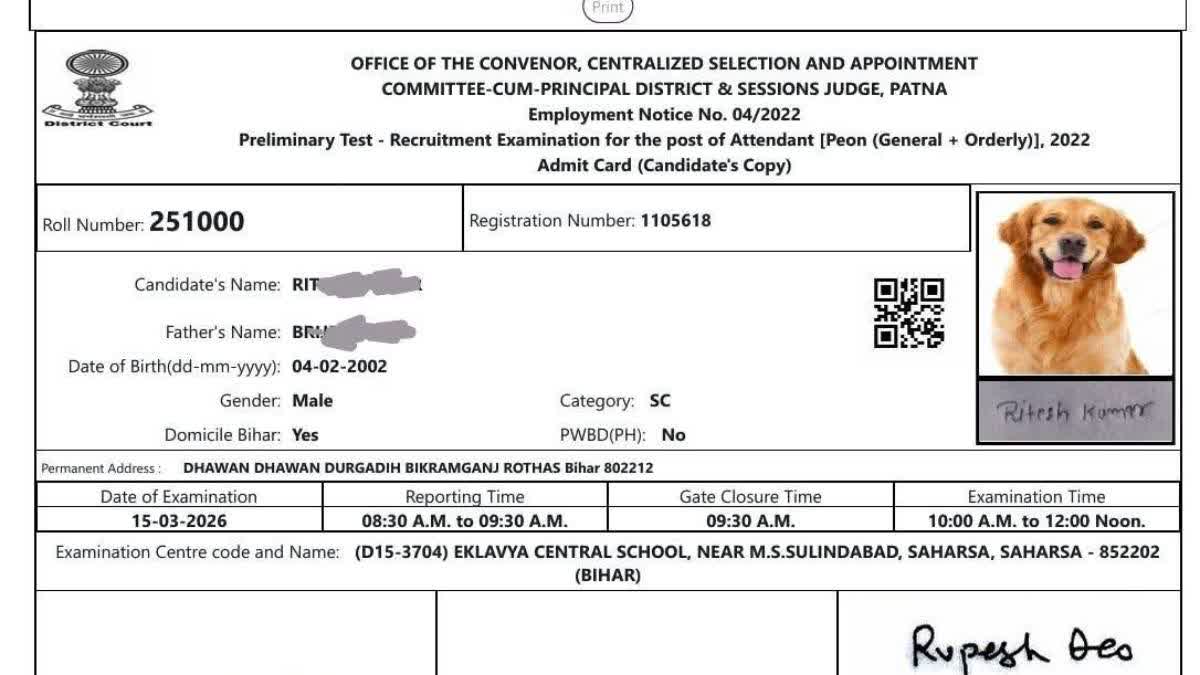 The admit card with a dog's photo.