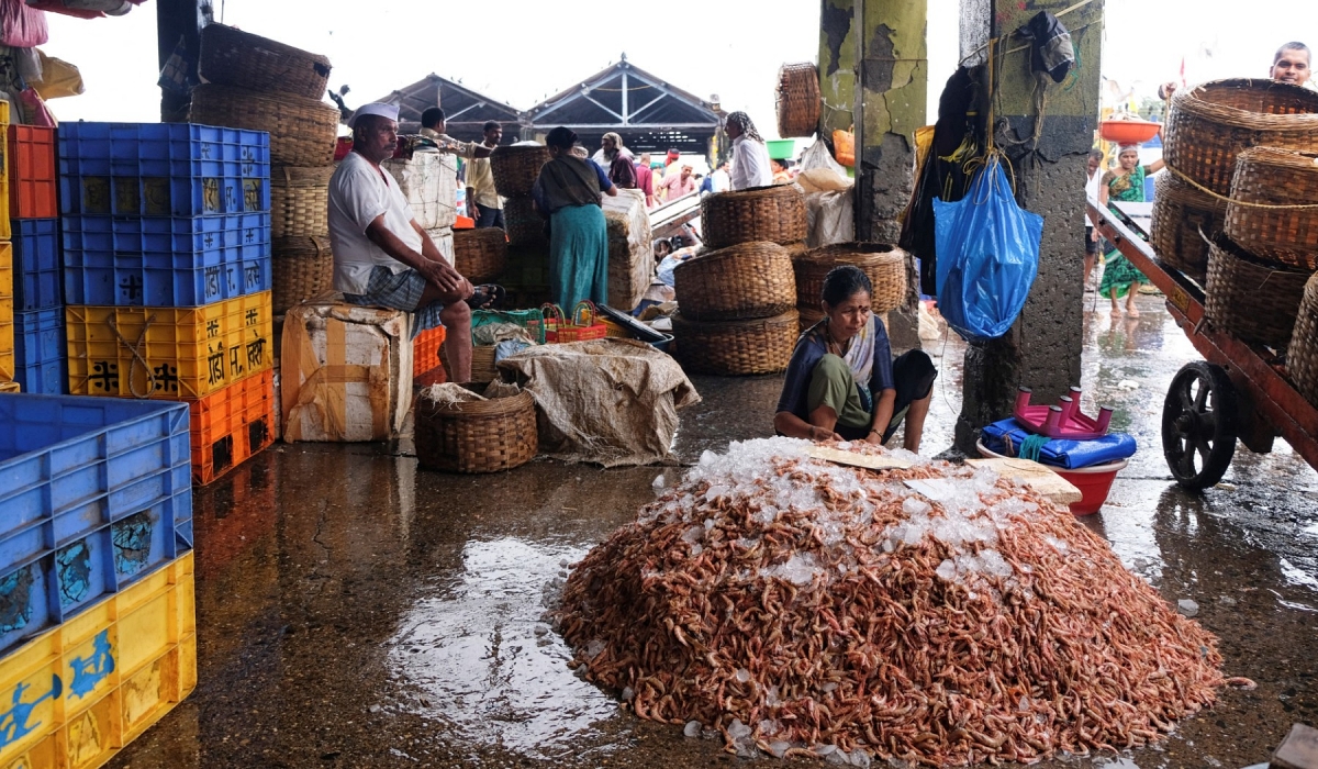 West Asia Tensions Hit Shrimp, Poultry And Coconut Exports From Andhra And Other Indian Markets
