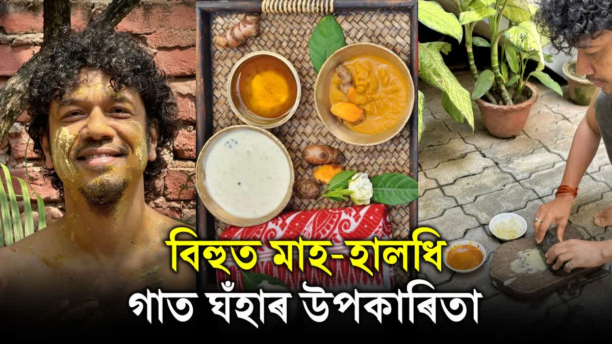 Benefits of rubbed turmeric and black gram/mah on the body during Rongali Bihu Assam