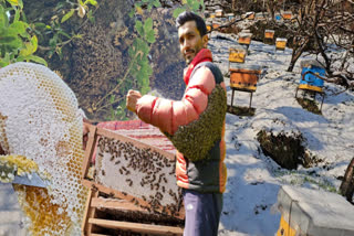 कुल्लू जिले के दविंद्र ने अपनाया स्वरोजगार