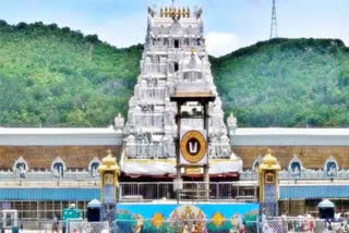 Bhumana Karunakar Reddy alleged that cows in the Gaushala managed by the temple trust are dying in large numbers due to neglect.