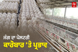 POULTRY BUSINESS AFFECTED