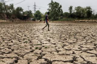 File photo of dry Yamuna bed in Delhi
