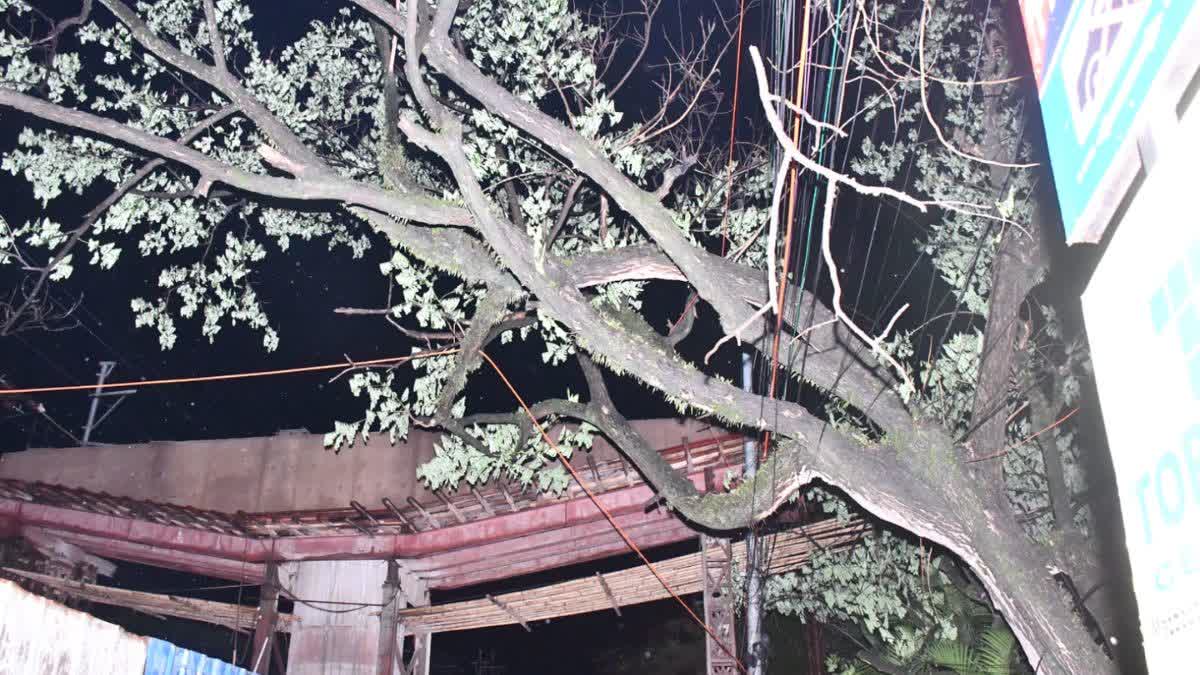 গুৱাহাটী মহানগৰীৰ শনিবাৰৰ দৃশ্য
