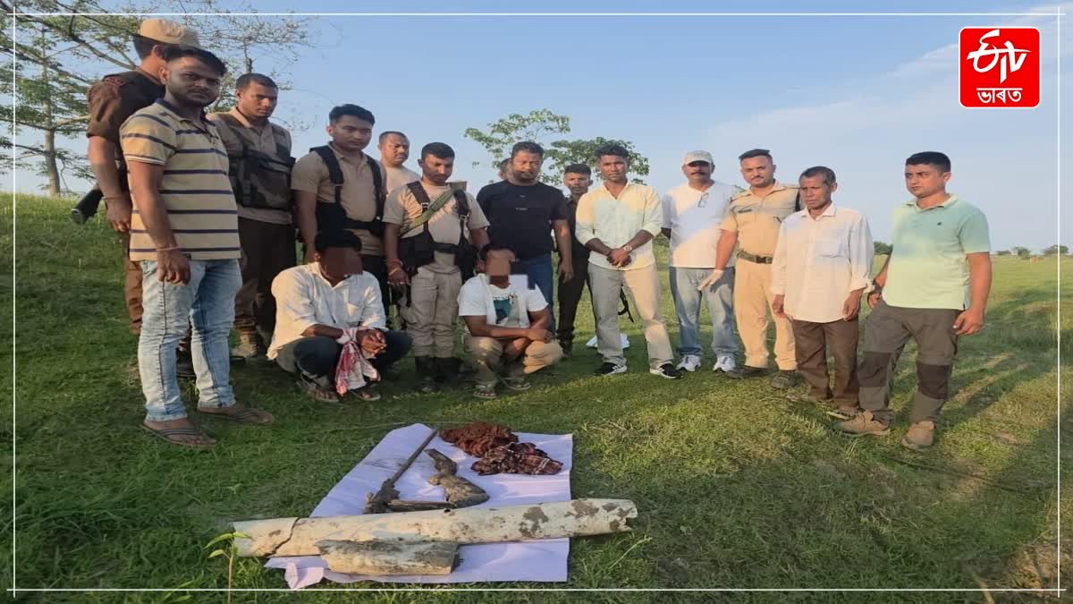 Rhino Poaching Plot Foiled: Three Arrested Near Kaziranga National Park