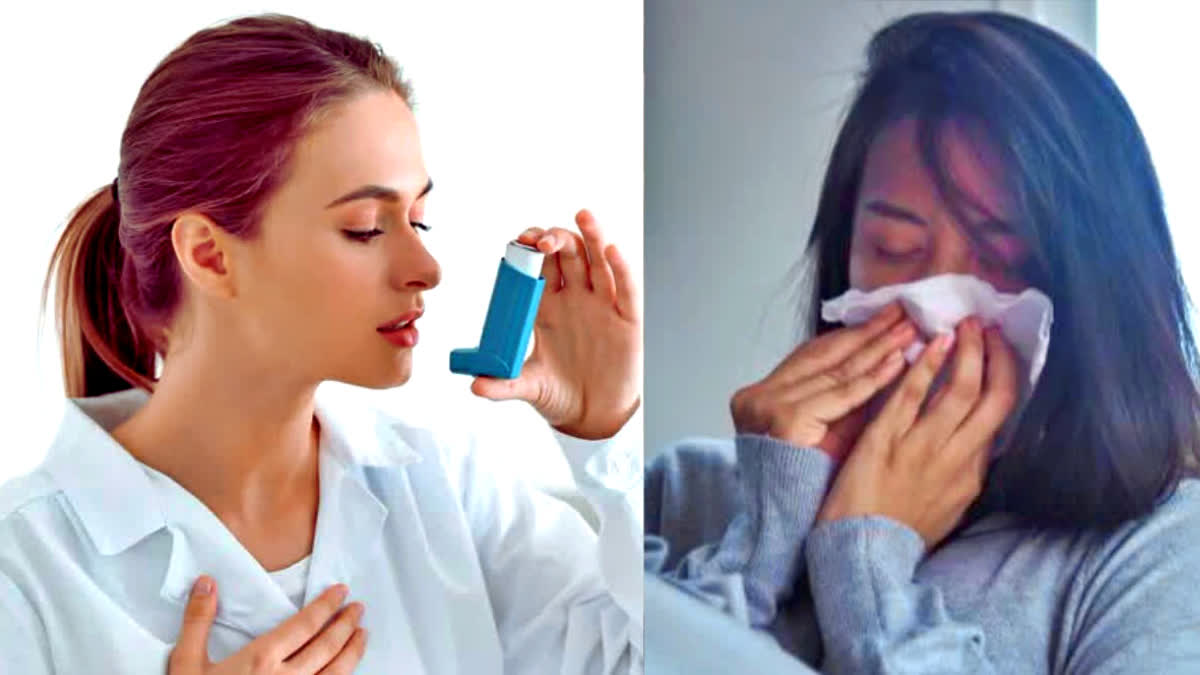 Common asthma drug shows promise for reversing fatty liver