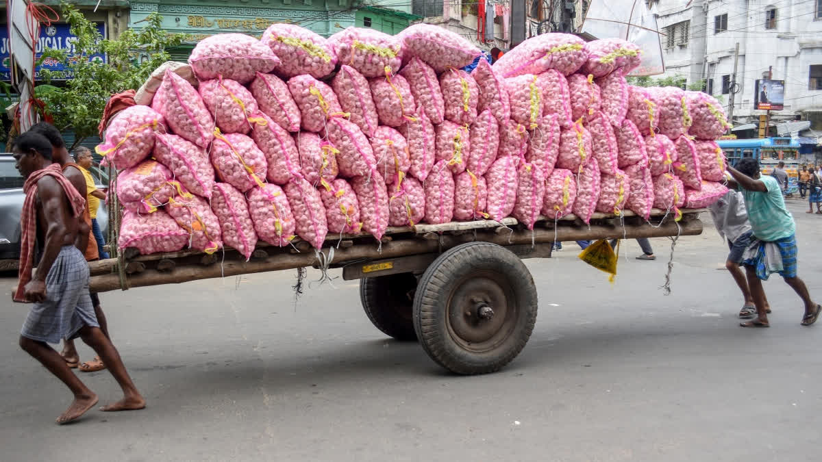 Labours transport Garlic on a hand cart to a wholesale market, in Kolkata