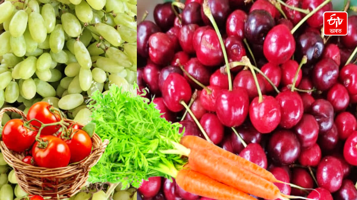 Foods That Support Healthy Aging