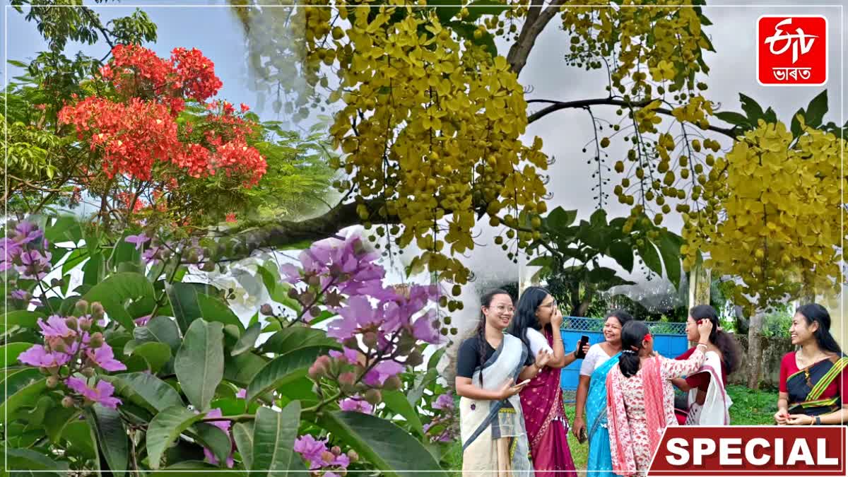 Beauty of flowers