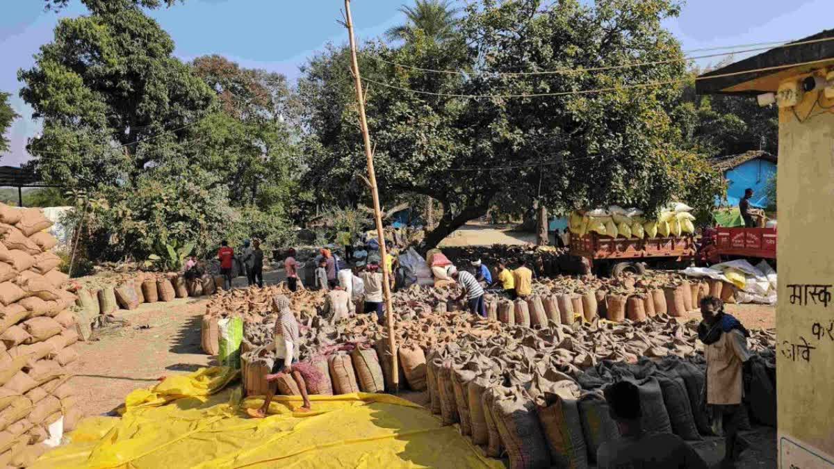 Vicharpur Paddy Procurement Center