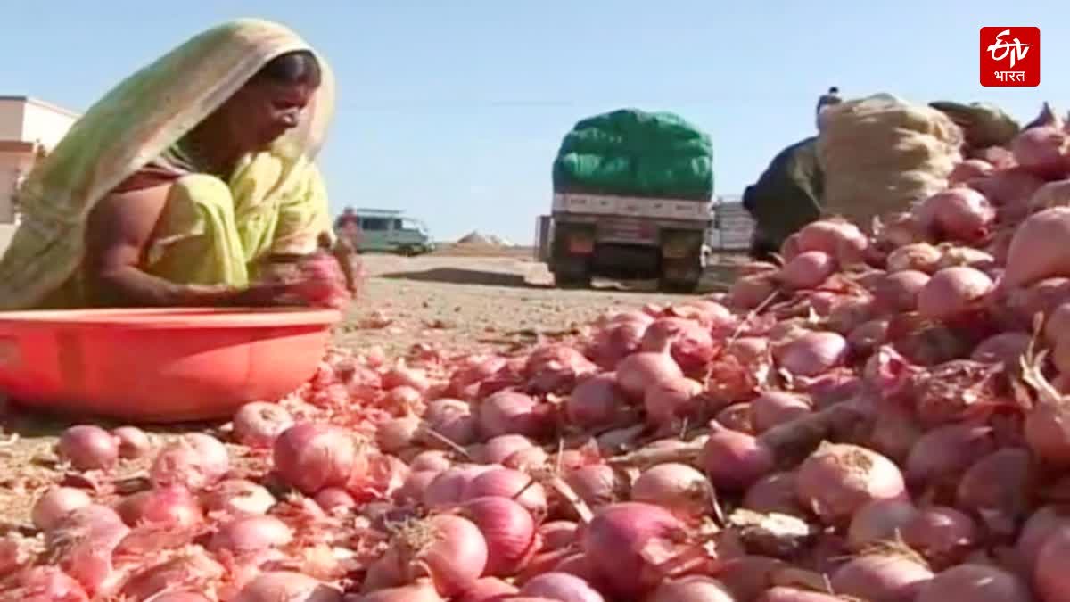 onion farmers