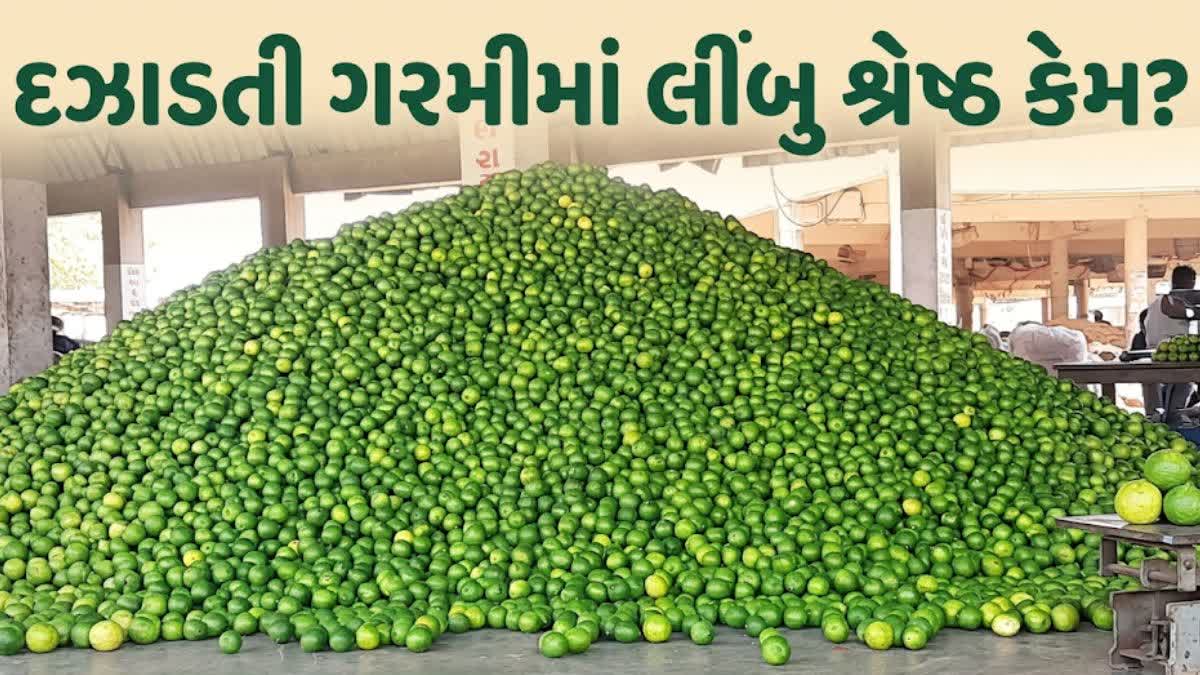 👨‍🌾 સૌરાષ્ટ્રના ખેડૂત - ShareChat