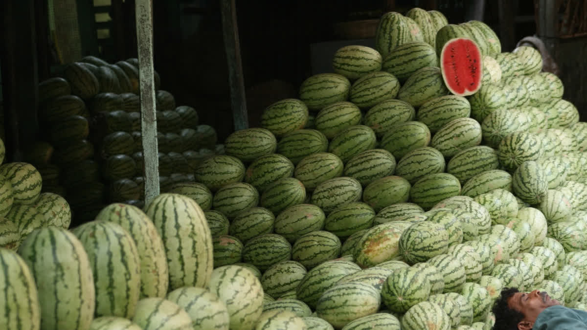 Food Poisoning: Teen dead, Three Children Sick After Eating Watermelon In  Chhattisgarh's Janjgir
