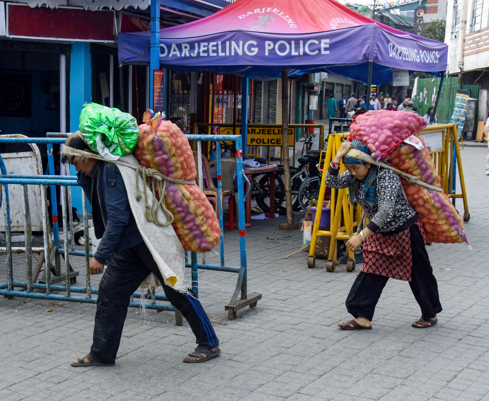Labours carrying potato sacks on their back at Ghum Railway Station, in Darjeeling